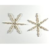 2 filigrane Perlensterne