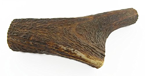 Naturally-Shed-All-Natural-Red-Deer-Antler-Dog-Chew--Small