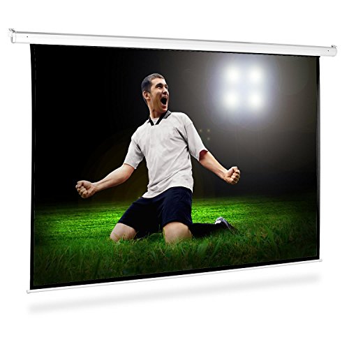 Roll-up Home Cinema Projector Screen HDTV (300x220cm, 4:3 Size Ratio, Gain Factor: 1.0)