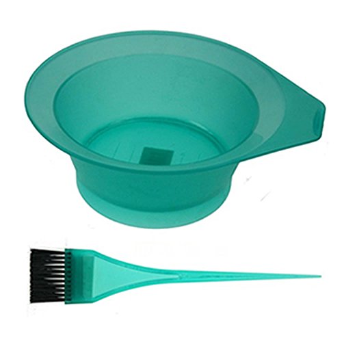Professional Salon Hair Tinting Bowl & Brush - Frosted Green