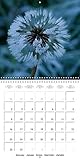 Image de Le calendrier des rosées : Photos d'une année de gouttes de rosée sur la nature. Calendrier mural 2017