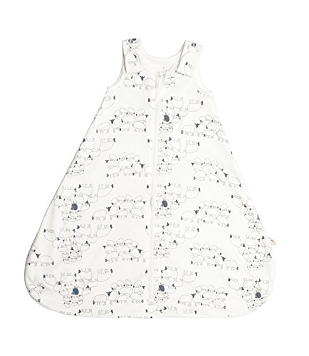 ERGObaby SWBANAT Babyschlafsack und Puck-Mich-Tuch Set