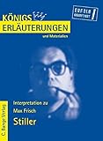 Königs Erläuterungen und Materialien, Bd.356, Stiller by