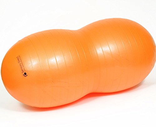 Erdnuss Physiorolle