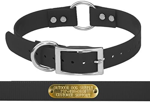 1 Wide Solid Ring in Center Dog Collar Strap with Custom Brass Name Plate (Black) by Outdoor Dog Supply