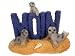 Produktbild Tierfiguren Moin Robbe am Strand 6 x 10 cm Schild See Nordsee Hafen Maritim Deko GRF 39.2450