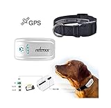 TKSTAR Haustier GPS Tracker mit Halsband