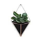 Se pueden colocar varios contenedores de flores de pared para decorar y embellecer mejor su habitación.