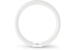 LIUYIFE Tubo Fluorescente Redondo T9 G10Q de Ahorro De Energía, Tubo de Neón de 32W, Blanco Frío 6500K, Luz de Anillo de Ahorro de Energía, Adecuado para Cocina, Pasillo, Escalera, Dormitorio, 1 Pieza