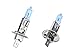 Produktbild Dino 130065 H1 Halogenlampen XENON-Look H1 55W/12V E13