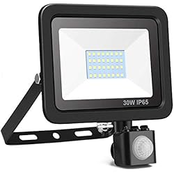 Foco LED con Sensor Movimiento, Minger Proyector LED Exterior 30W LED Impermeable IP65 2400LM 6000K, Iluminación de Exterior y Seguridad interior y exterior para Jardín, Patio, Camino, Yarda