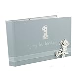 Button Corner My 1st Birthday Blue Boys First Birthday Photo Album with metal teddy icon