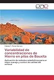 Image de Variabilidad de concentraciones de Hierro en pilas de Bauxita: Aplicación de métodos estadísticos para un mejor manejo y control de calidad del min