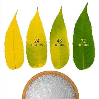 Bloomax Epsom Salt (1,2,3,4,5 Kg) High Purity Magnesium Sulphate to Speed up Plants Growth, Vegetable & Plants Nutrient