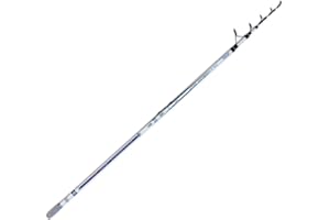 LINEAEFFE Fishing Ferrari Canna Surf Storione FF Surf Leader 420 500gr