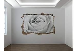 WMOLTDTM White Rose Close-up Photo Hole in Wall Sticker Wall Mural (8965540) Floral (60cm x 40cm)