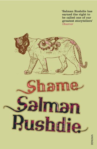 Shame (English Edition) livre
