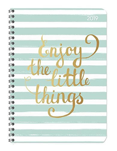 Preisvergleich Produktbild Ladytimer Ringbuch Little Things 2019 - Taschenplaner / Taschenkalender A5 - Schülerkalender - Weekly - Ringbindung - 128 Seiten
