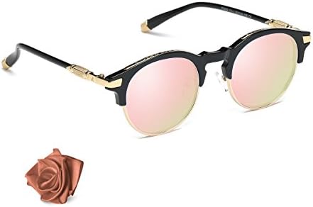 Aiblii Clubmaster Steampunk Round Sunglasses for Men Women Half Frame Semi-Rimless UV400 Protection Classic Polarised Sun Glasses for Birthday Valentine's Day Gift