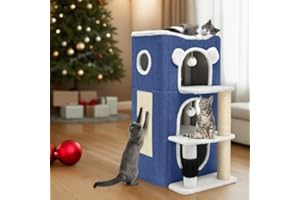 YITAHOME Niche pour Chat d'intérieur - Niche Moderne avec Grotte routière, Poteau à griffer et démangeaisons, Support d'escalade, Cube de Jeu pour Plusieurs Chatons (Bleu)