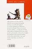 Image de Diecisiete cuentos y dos pingüinos (Literatura Infantil (6-11 Años) - Sopa De Libros)