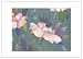Produktbild NW Pitney Tinte Peony Garden Trauerkarte, 17,8 x 12,7 cm (1121sym)