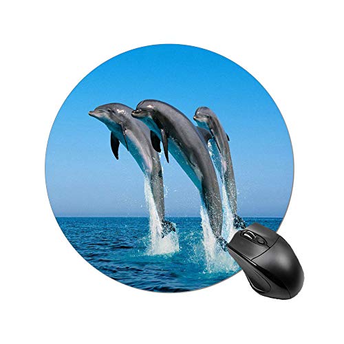 Preisvergleich Produktbild Drei ottlenose dolphin muster gedruckt runde mauspad