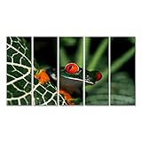 islandburner Cuadro Cuadros Impresión sobre Lienzo - Formato Grande - Cuadros Modernos Rana