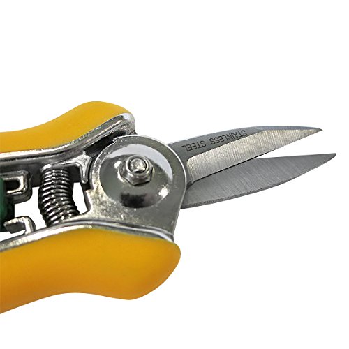 GRÜNTEK Garten- Pflanzenschere COLIBRI 170 mm Edelstahlklingen mit Zink-Legierung Blumenschere mit Soft-Touch Ergo-Griff, Trimmerschere Bypass - 6