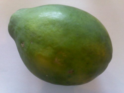 Papaya (Melonenbaum) Süße Früchte 15 frische Samenkörner - 2