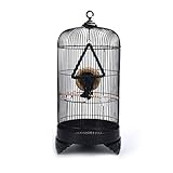 4. Objetos aplicables: aves pequeñas como loros y palomas.