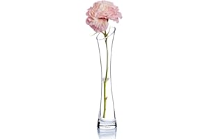 BAMBOOPACK Petit Vase en Verre soufflé Fait à la Main - Vases en Verre Transparent - Base Lourde - Vase à Tige Unique pour Bureau, Maison, décoration de Mariage (Bouche Oblique)