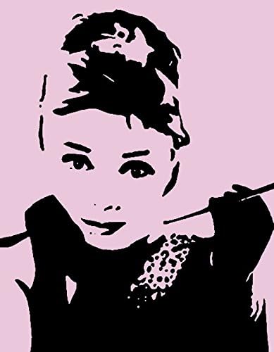 Audrey Hepburn pop art style canvas picture 12"x16" framed and ready to hang