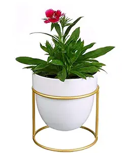 Pottery Studio, Designer Plant Pot with Stand, for Your Home Garden // Balcony Garden // Home Dcor // Office // Hotel // Bar // Office