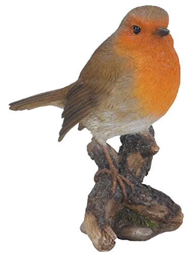 Vivid arts british birds robin size f