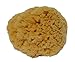 Produktbild Körperpflege+wellness Croll & Denecke Naturschwamm G3, ca. 15 cm