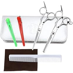Set 2 Ciseaux Coiffure Professionnels et de Coupe de Acier Inoxydable - Professionnel Ciseaux de cheveu Désépaissir Ciseaux Coiffure Pour Effiler et désépaissir (01#)