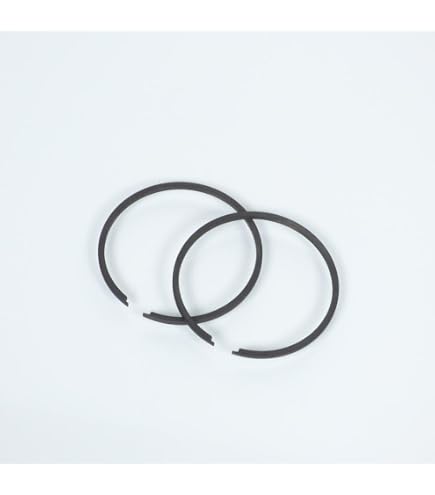 Lot De 2 Segments Adaptable Type Origine 40 X 1,5 Mm - Pour Référence 103