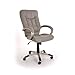 Produktbild Chefsessel Manager grau