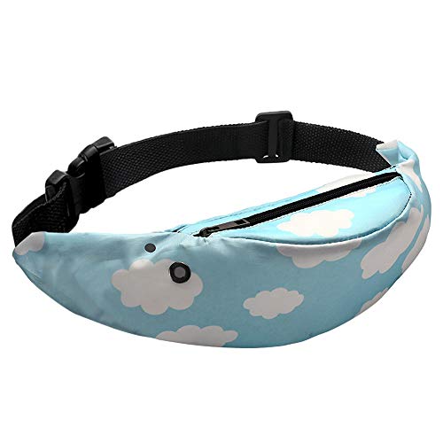 Preisvergleich Produktbild DQANIUGürteltasche, Bunte Gürteltasche wasserdichte Reise-Gürteltasche Handy-Gürteltasche Gürteltasche