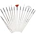 TRIXES Nail Art Brushes 20pcs Nail Art Design Painting Detailing Brush & Dotting Bundle Kit with Black Case