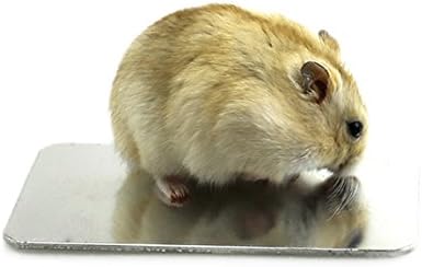 Hamster Squirrel Alloy Cooling Rest Plate Ice Bed