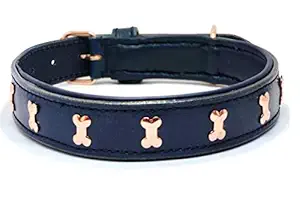 ZIIZO Genuine Leather Bones Studded Luxury Padded Dog Collar (Large, Blue/Rose Gold)