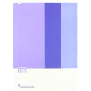 riuades del segle XX al Pallars Sobirà: 1907 (Arxius i societat. Quaderns de Divulgació Històrica, Band 2)