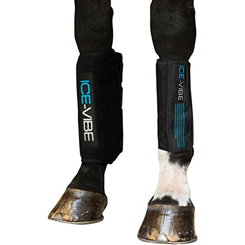 Preisvergleich Produktbild Horseware Ice Vibe Boot Full