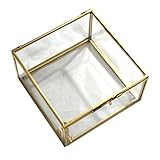 Glasschwarze Box Terrarium Box aus Glas im klassischen Stil