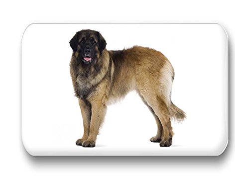 Leonberger – 4 rechteckige Kühlschrankmagnete 6 x 4 cm — 01 für Memoboard Pinnwand Magnettafel Whiteboard - 2