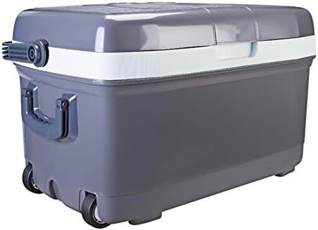 Car refrigerator,Car Cooler Car refrigerator45L 220V Car Cooler Car Home Dual-Use Car Cold And Warm Box Camping Mini Refrigerator