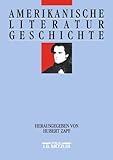 Image de Amerikanische Literaturgeschichte