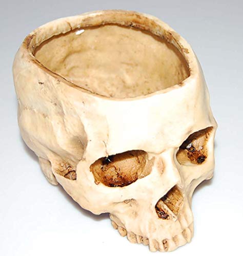 GaLon Calabaza Macetas de Halloween Apoyos sin Cabezas del Cerebro Huecos al Vapor Huecos Decoraciones al por Mayor Creativas